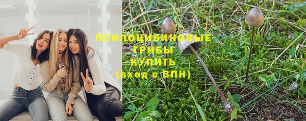 кокс Сосновка